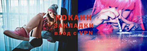 гашик Няндома