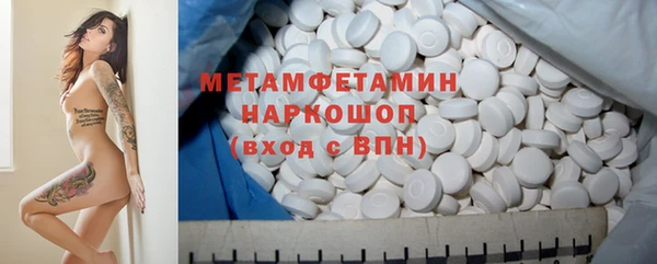 гашик Няндома