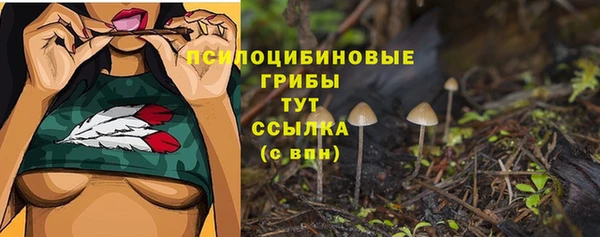 герыч Нязепетровск
