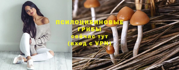 гашик Няндома