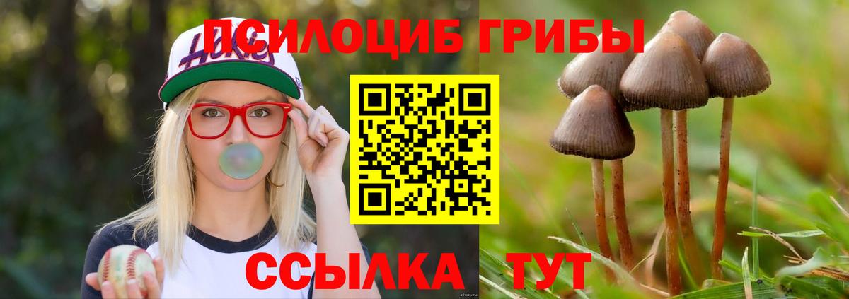 Псилоцибиновые грибы GOLDEN TEACHER Алейск