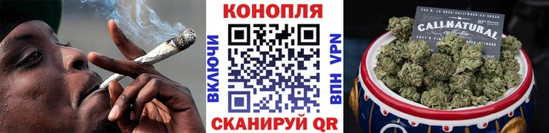Каннабис индика Алейск